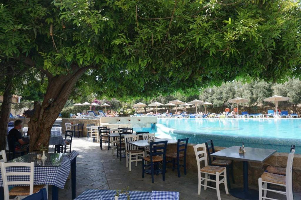 Alex'S Vacation Suite - 100M From The Beach - 6 Guests 파포스 외부 사진